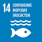 Сохранение морских экосистем