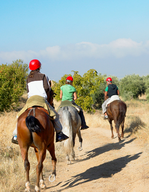 Back view of tree teenagers riding horses.